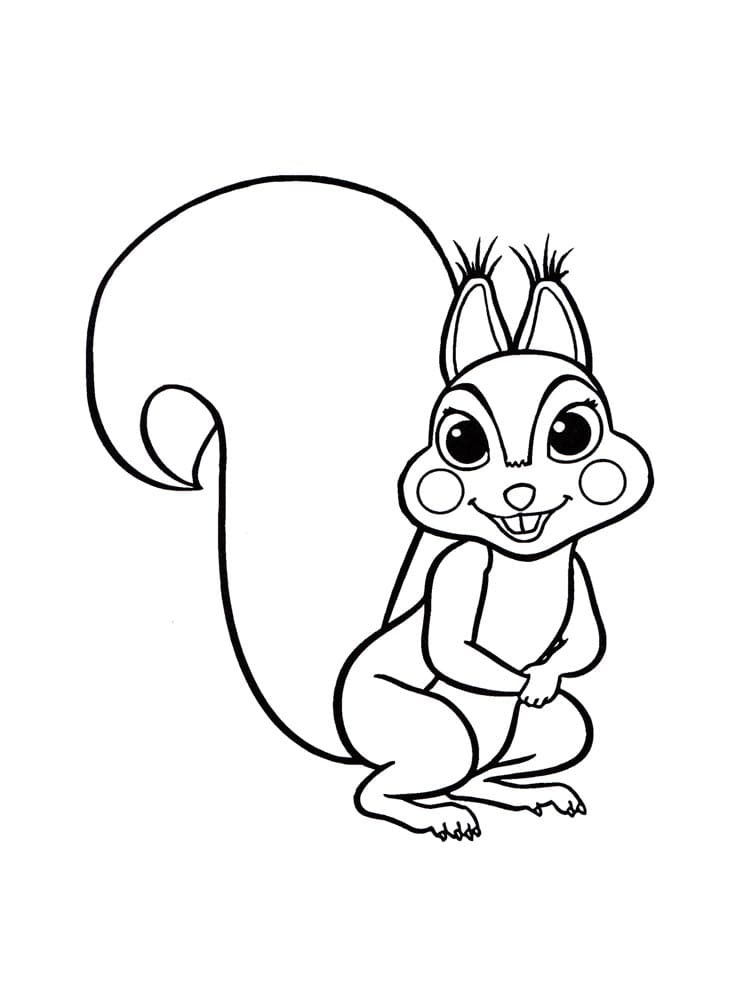 Eichhörnchen 4 ausmalbilder