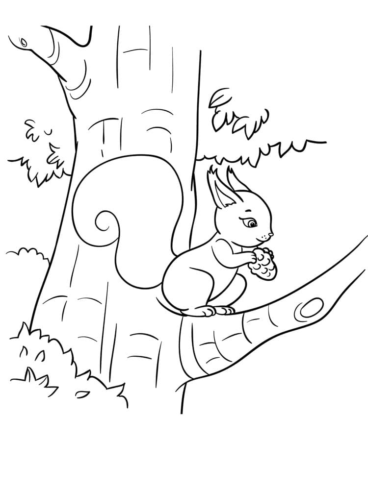 Eichhörnchen 5 ausmalbilder