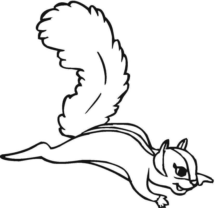 Eichhörnchen Bild ausmalbilder