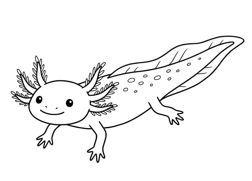 Ein Axolotl ausmalbilder