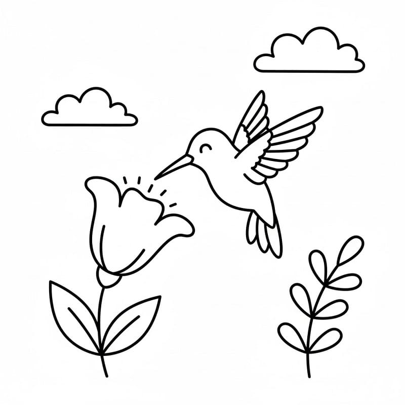 Ein Kolibri ausmalbilder