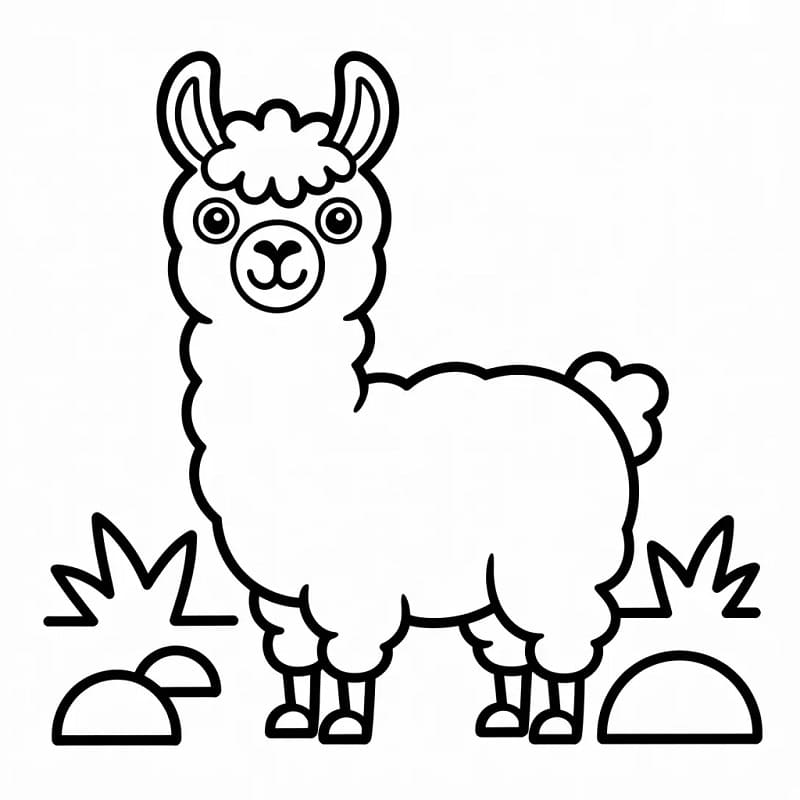 Ein Lama ausmalbilder
