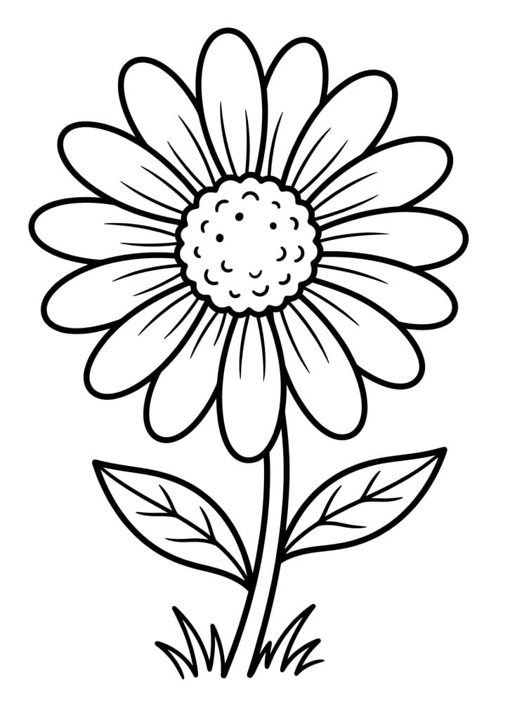 Eine Gänseblümchenblüte ausmalbilder