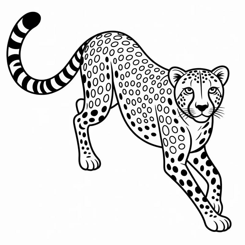 Einfacher Gepard ausmalbilder