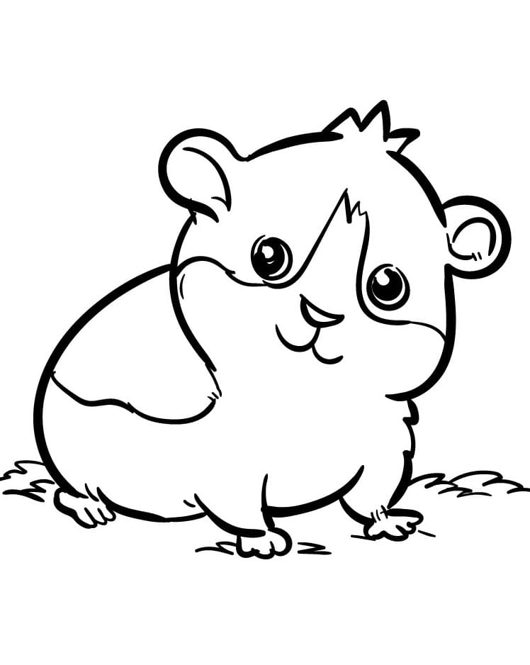 Einfacher Hamster ausmalbilder