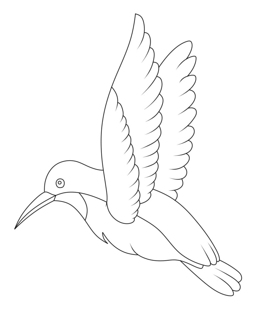 Einfacher Kolibri ausmalbilder