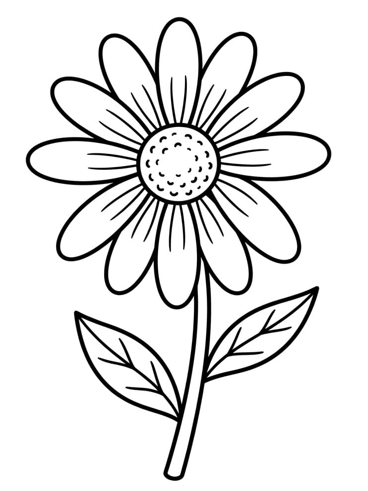 Einfaches Gänseblümchen ausmalbilder