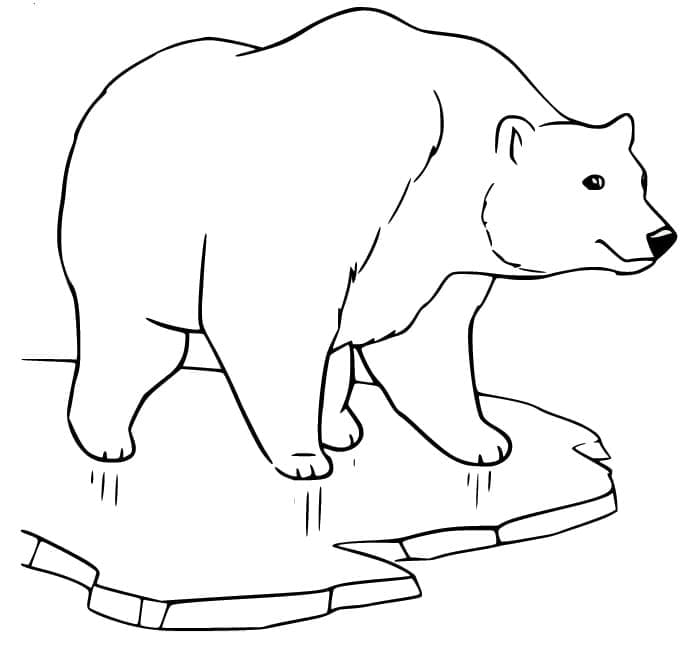 Eisbär Malvorlage ausmalbilder