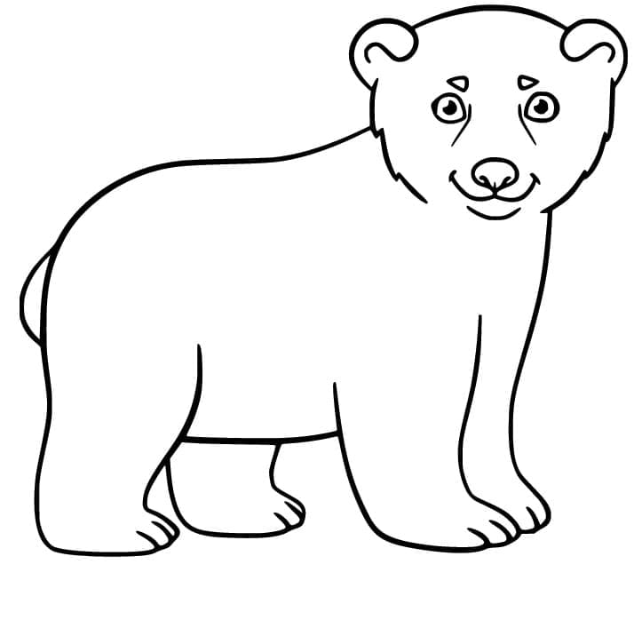 Eisbär zum Ausdrucken ausmalbilder