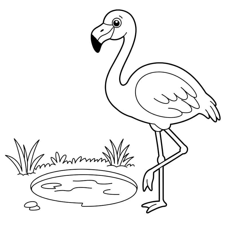 Flamingo für 3-jährige Kinder ausmalbilder