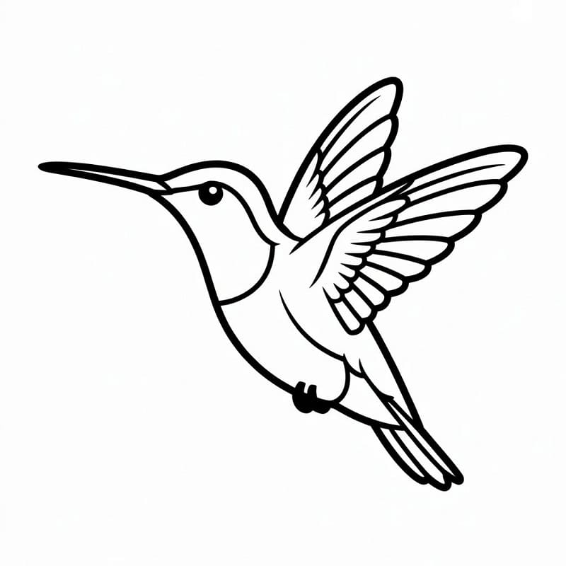 Freundlicher Kolibri ausmalbilder