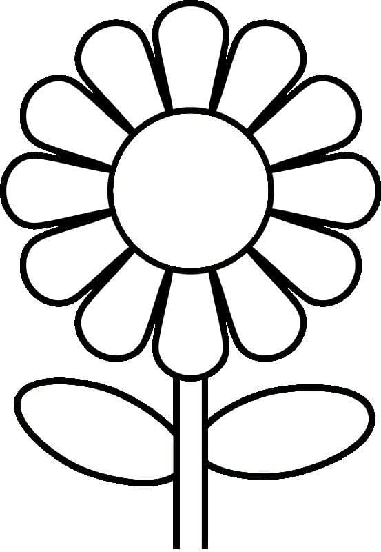 Gänseblümchen für 3-jährige Kinder ausmalbilder