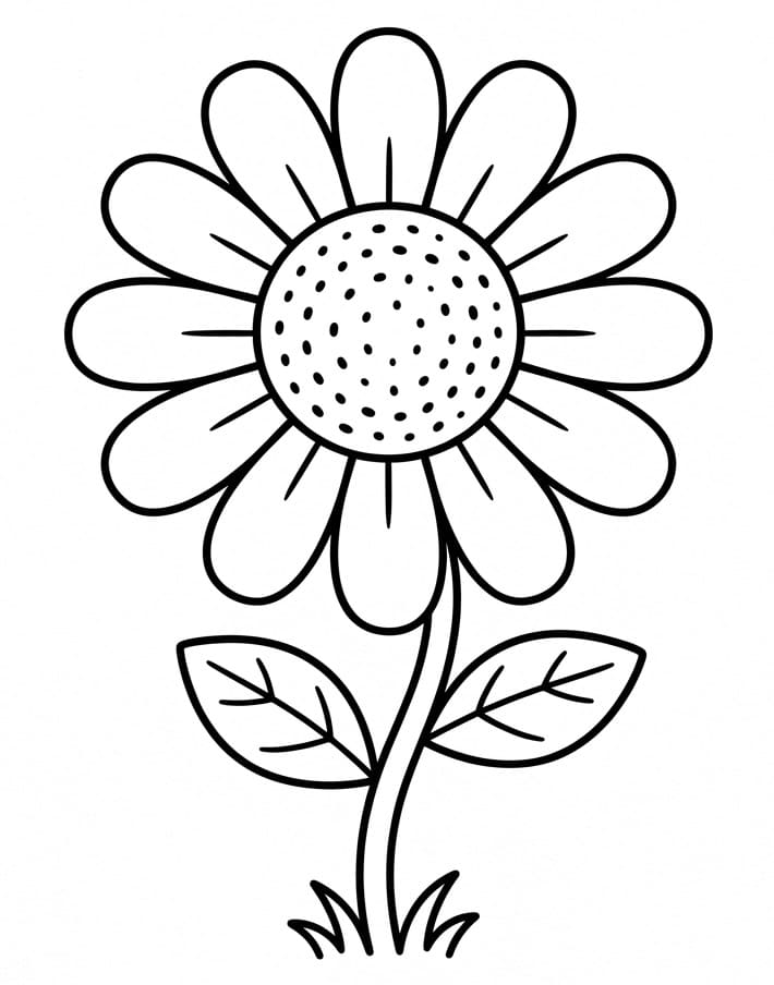 Gänseblümchen zum Ausdrucken ausmalbilder
