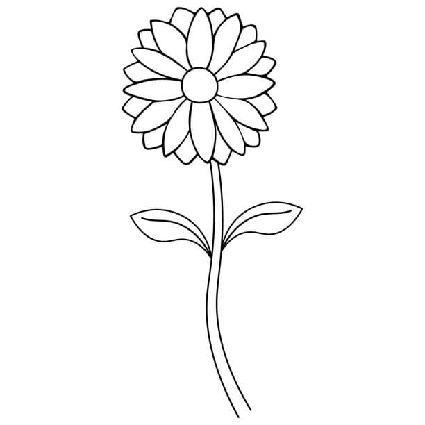 Gänseblümchen zum Drucken ausmalbilder