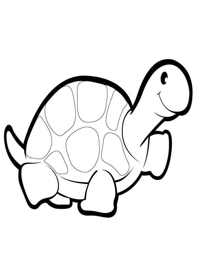 Gratis ausdruckbare Schildkröte ausmalbilder
