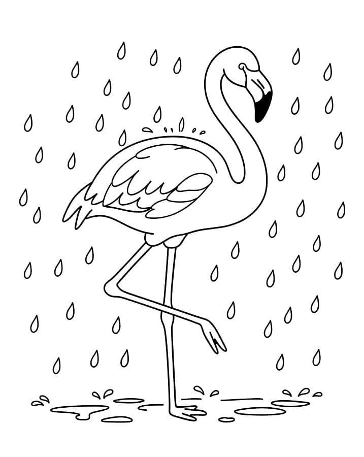 Gratis druckbarer Flamingo ausmalbilder