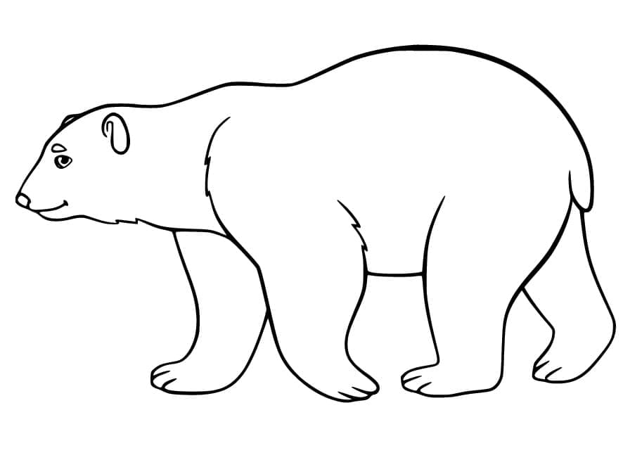 Großer Eisbär ausmalbilder