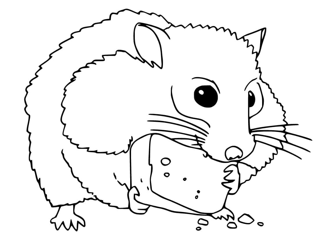 Hamster für 1-jährige Kinder ausmalbilder