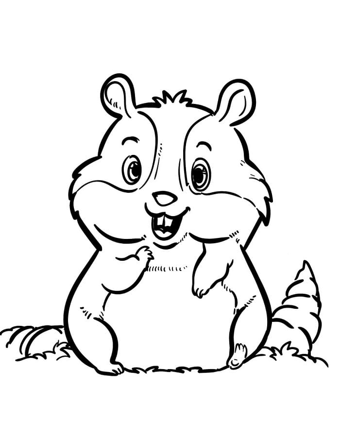 Hamster gratis ausmalbilder