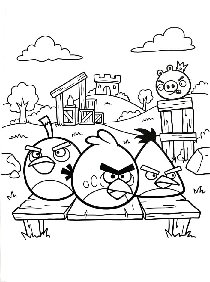 Hübsche Angry Birds ausmalbilder