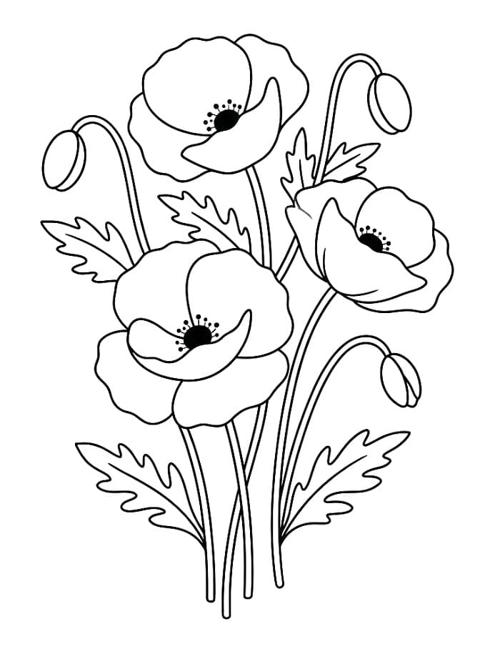 Hübsche Mohnblumen ausmalbilder