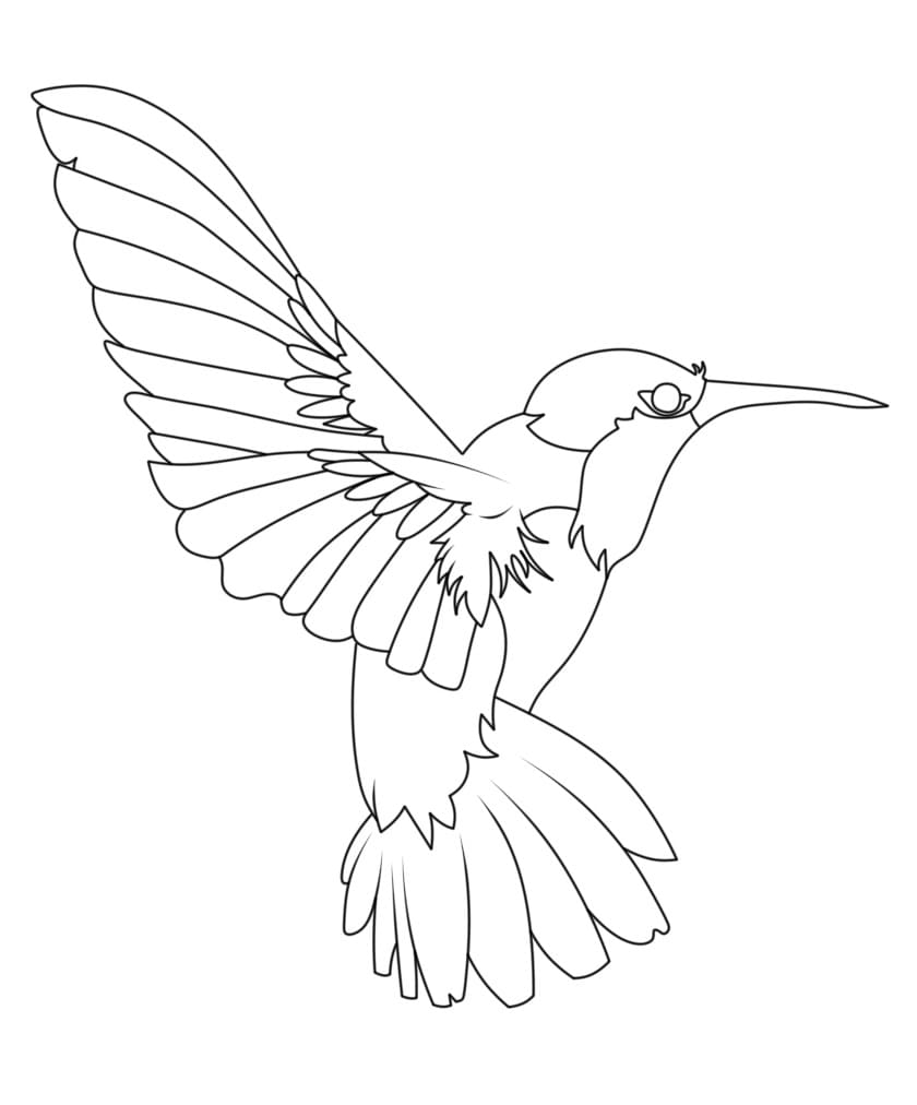 Hübscher Kolibri ausmalbilder