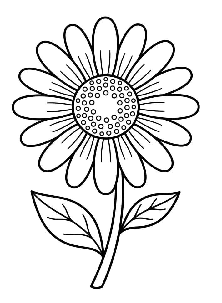 Hübsches Gänseblümchen ausmalbilder