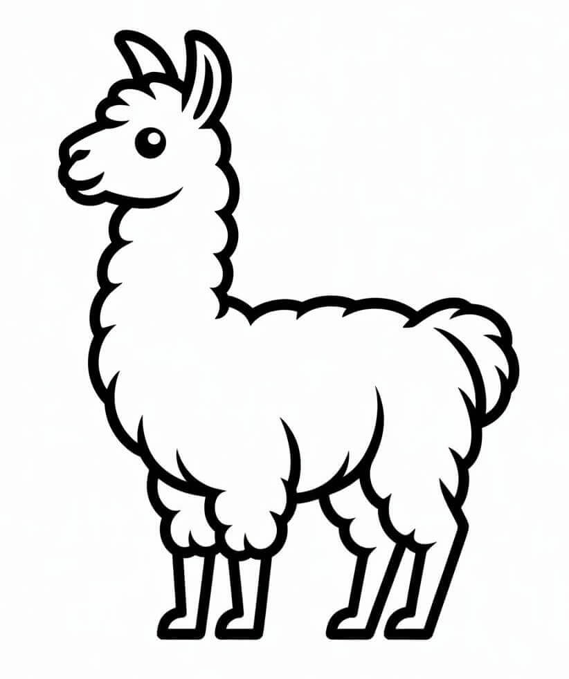 Hübsches Lama ausmalbilder