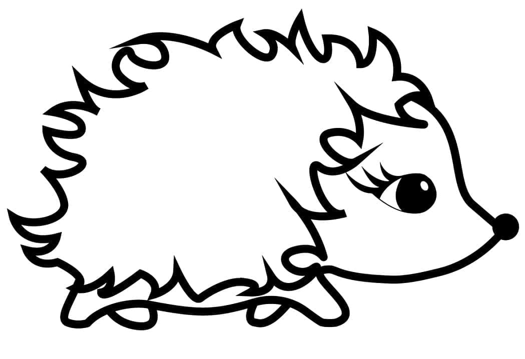 Igel 2 ausmalbilder
