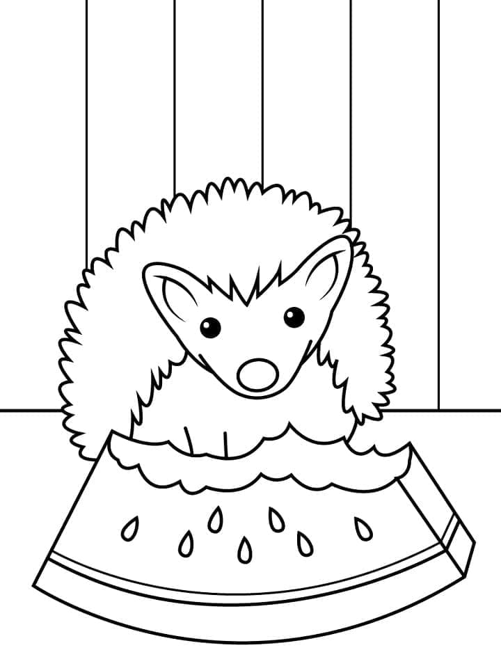 Igel 3 ausmalbilder