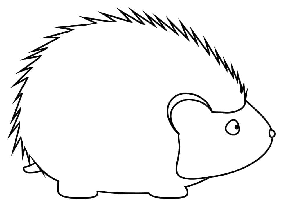Igel 4 ausmalbilder
