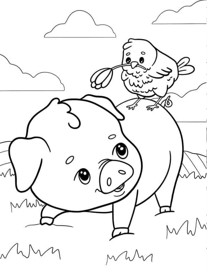 Kleines Schwein ausmalbilder