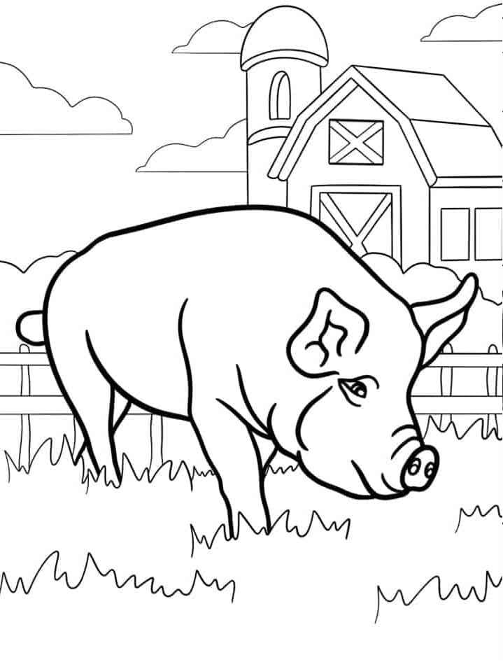 Kleines niedliches Schwein ausmalbilder