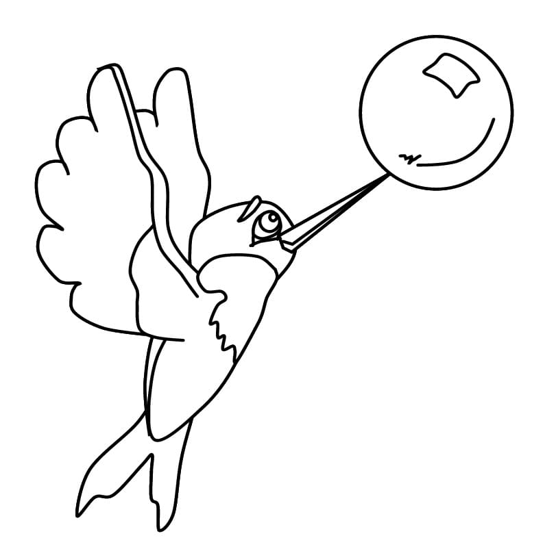Kolibri ausdrucken ausmalbilder