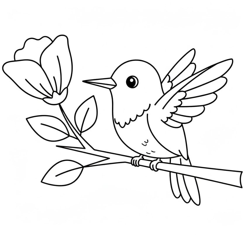 Kolibri kostenlos ausmalbilder