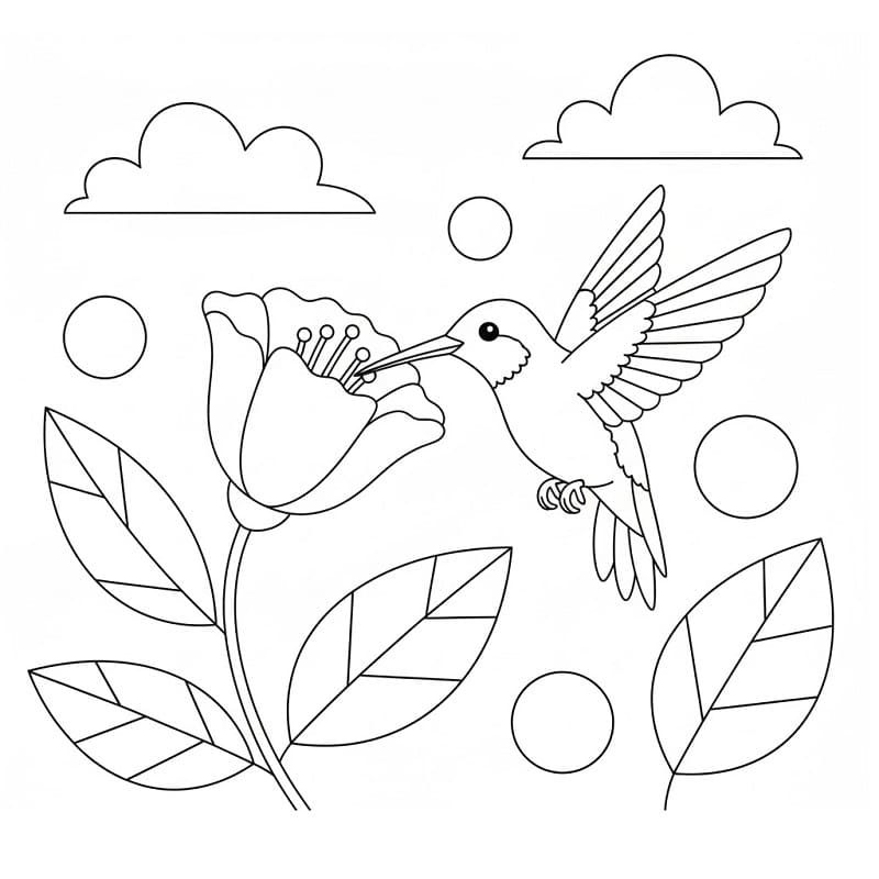 Kolibri zum Drucken ausmalbilder