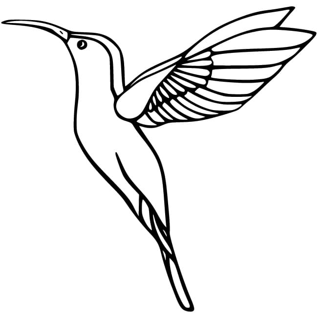Kostenlos druckbarer Kolibri ausmalbilder