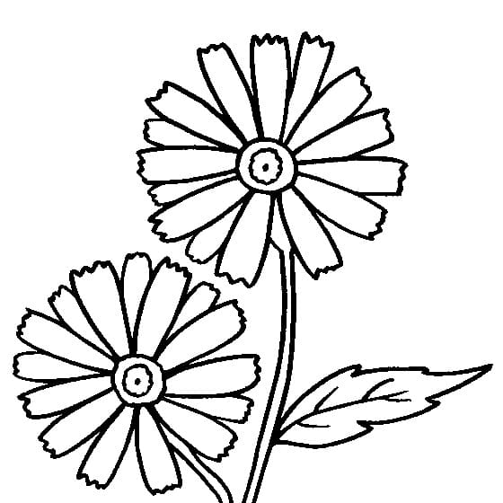 Kostenlos druckbares Gänseblümchen ausmalbilder