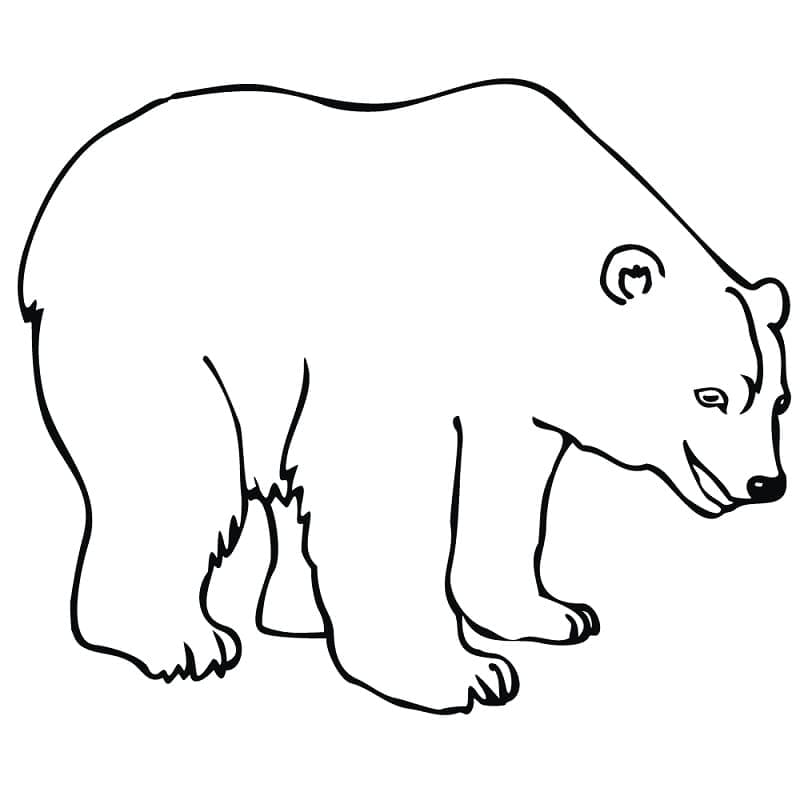 Kostenlose Eisbär-Malvorlage ausmalbilder