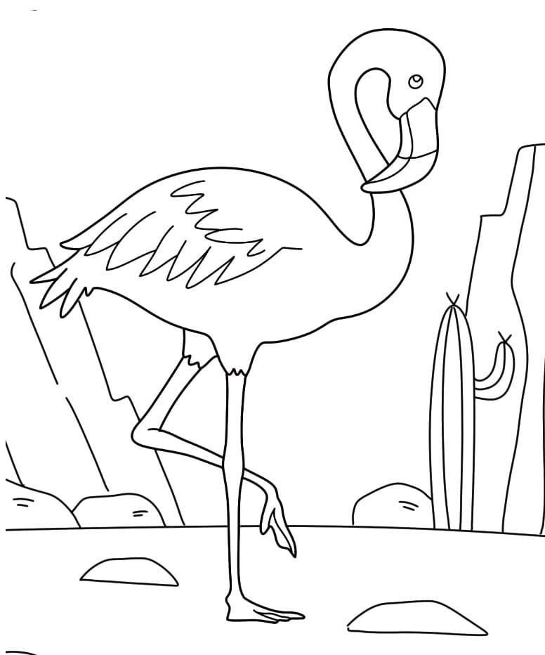 Kostenlose Flamingo Ausmalbilder ausmalbilder