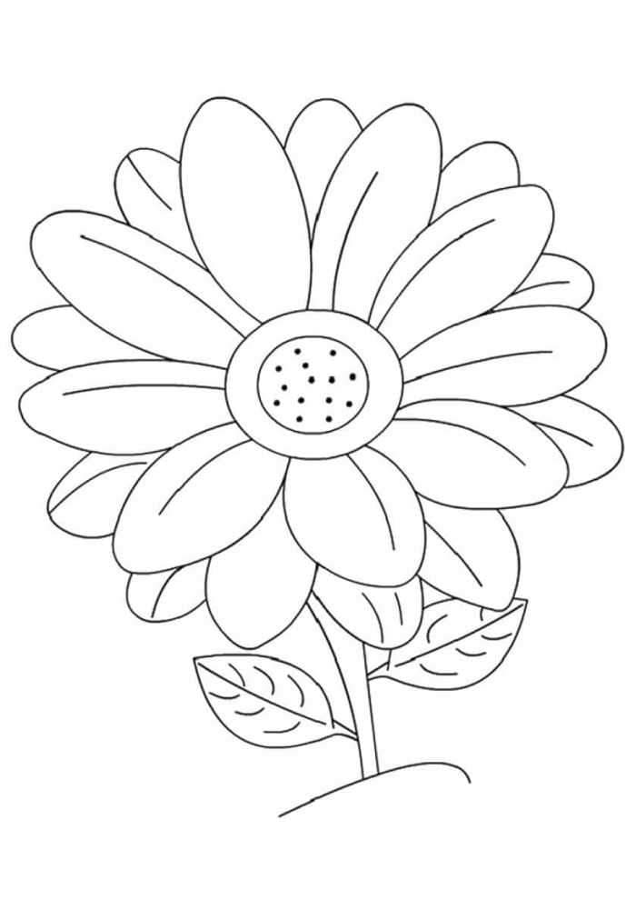 Kostenlose Gänseblümchen Ausmalvorlagen ausmalbilder