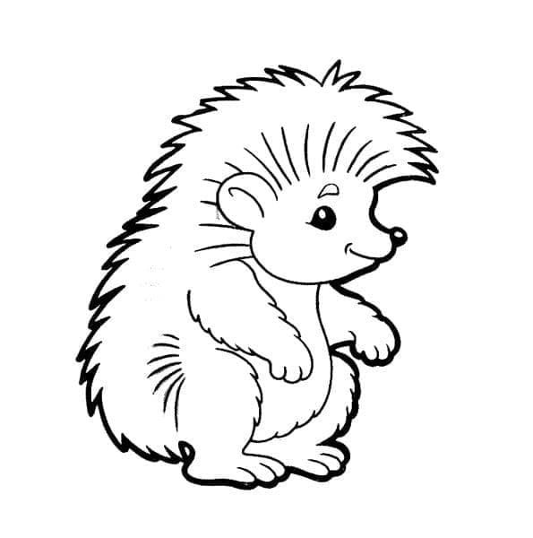Kostenlose Igel Bilder für Kinder ausmalbilder