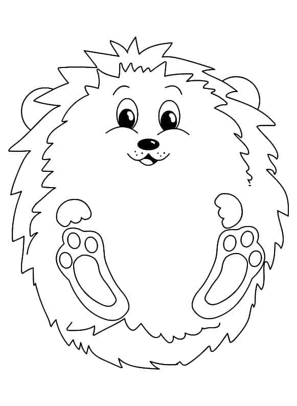 Kostenlose Igel Bilder zum Drucken ausmalbilder