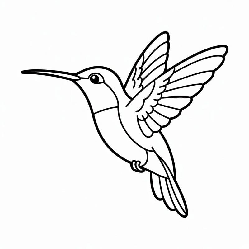 Kostenlose Kolibri-Ausmalbilder ausmalbilder