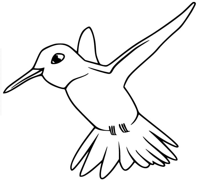 Kostenlose Kolibri-Malvorlagen für Kinder ausmalbilder