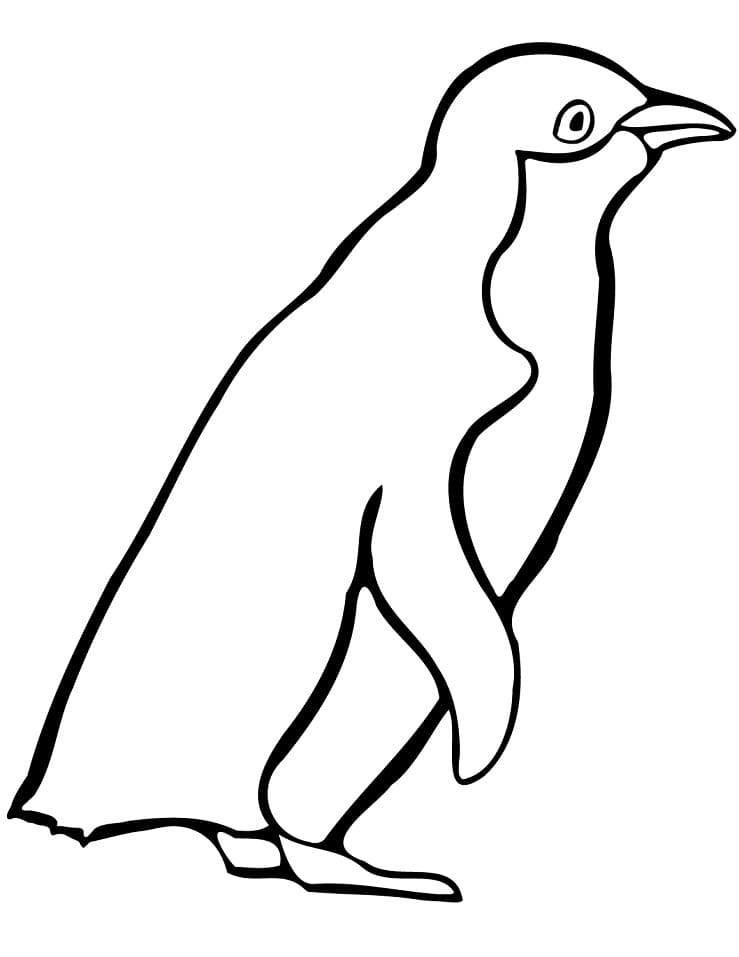 Kostenlose Pinguin Bilder zum Drucken ausmalbilder