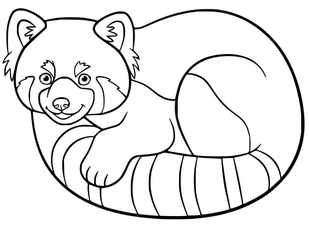 Kostenlose Roter-Panda-Malvorlagen für Kinder ausmalbilder