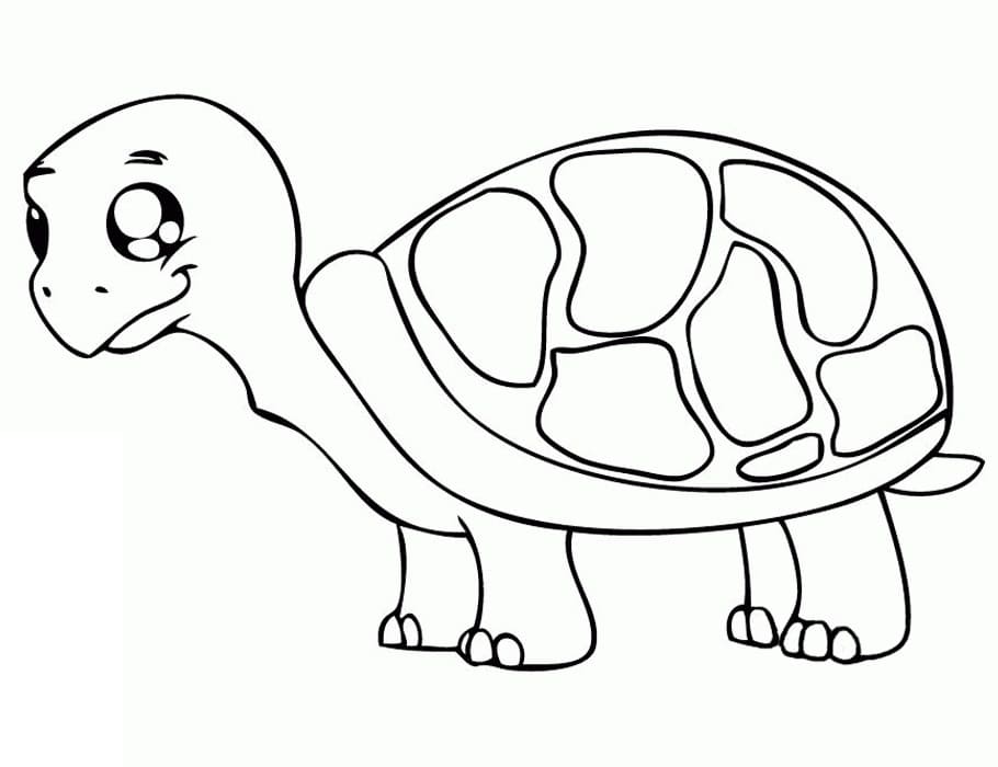 Kostenlose Schildkröten-Malvorlage ausmalbilder