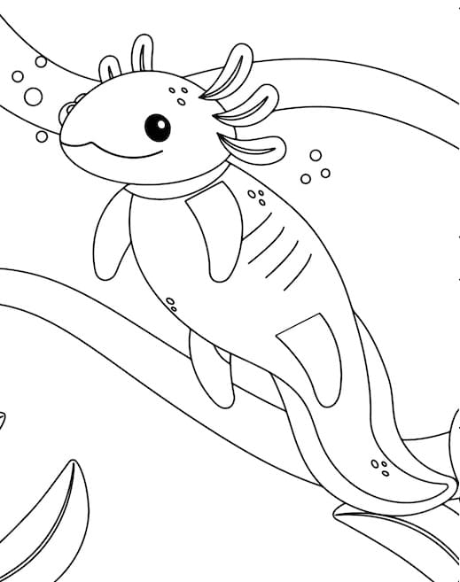 Kostenloser Axolotl zum Ausdrucken ausmalbilder