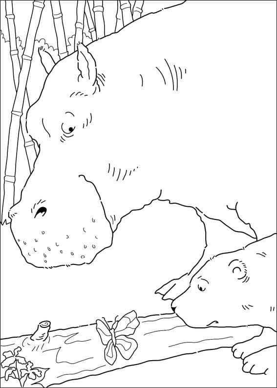 Kostenloser Der kleine Eisbär für Kinder ausmalbilder